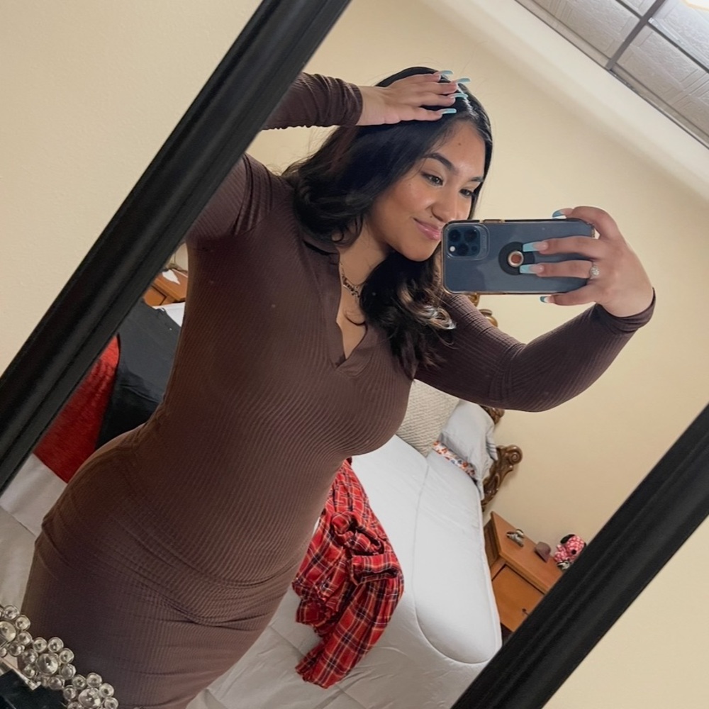 Chic Long Sleeve Brown Dress